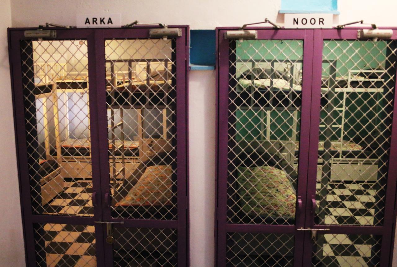 Gypsy Child Lake Hostel אודייפור מראה חיצוני תמונה